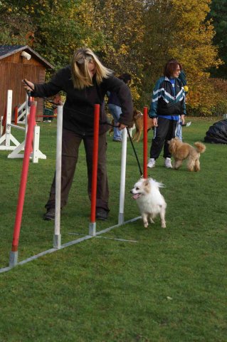 agility 2011-10-30